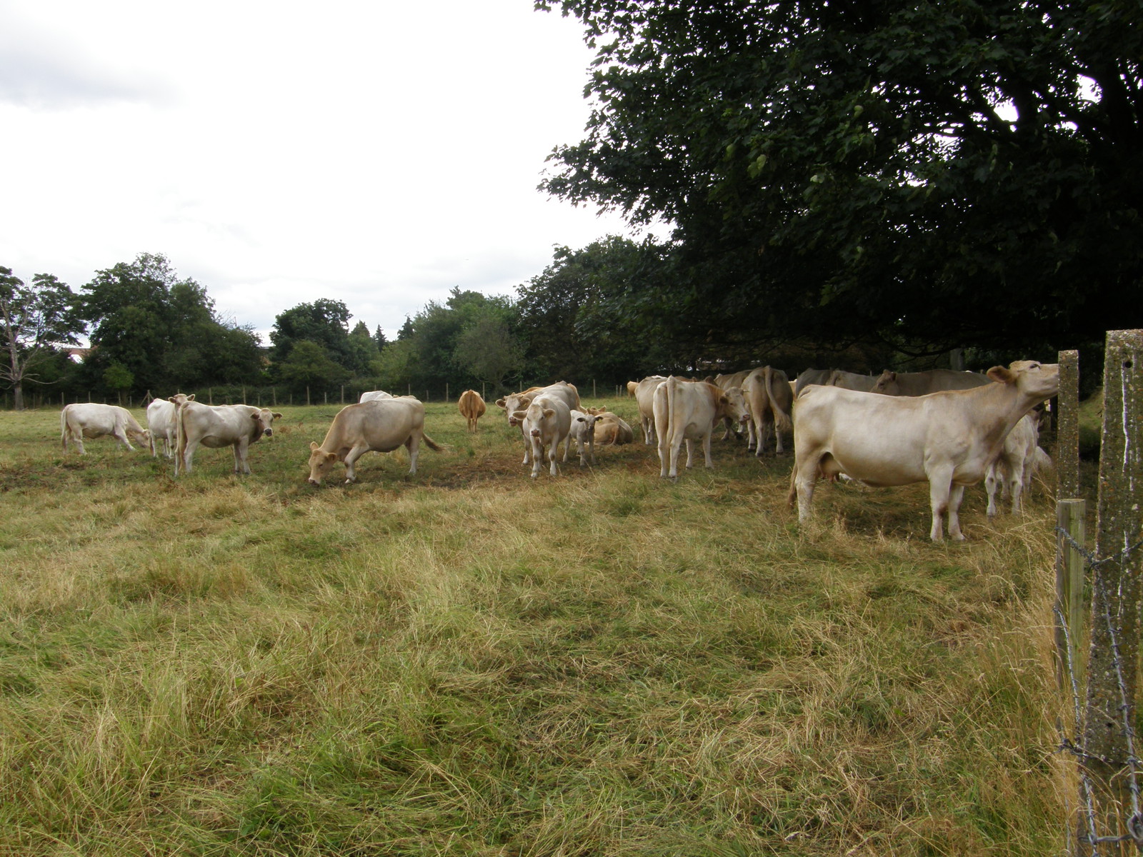 Image from Hatton Cross to Boston Manor