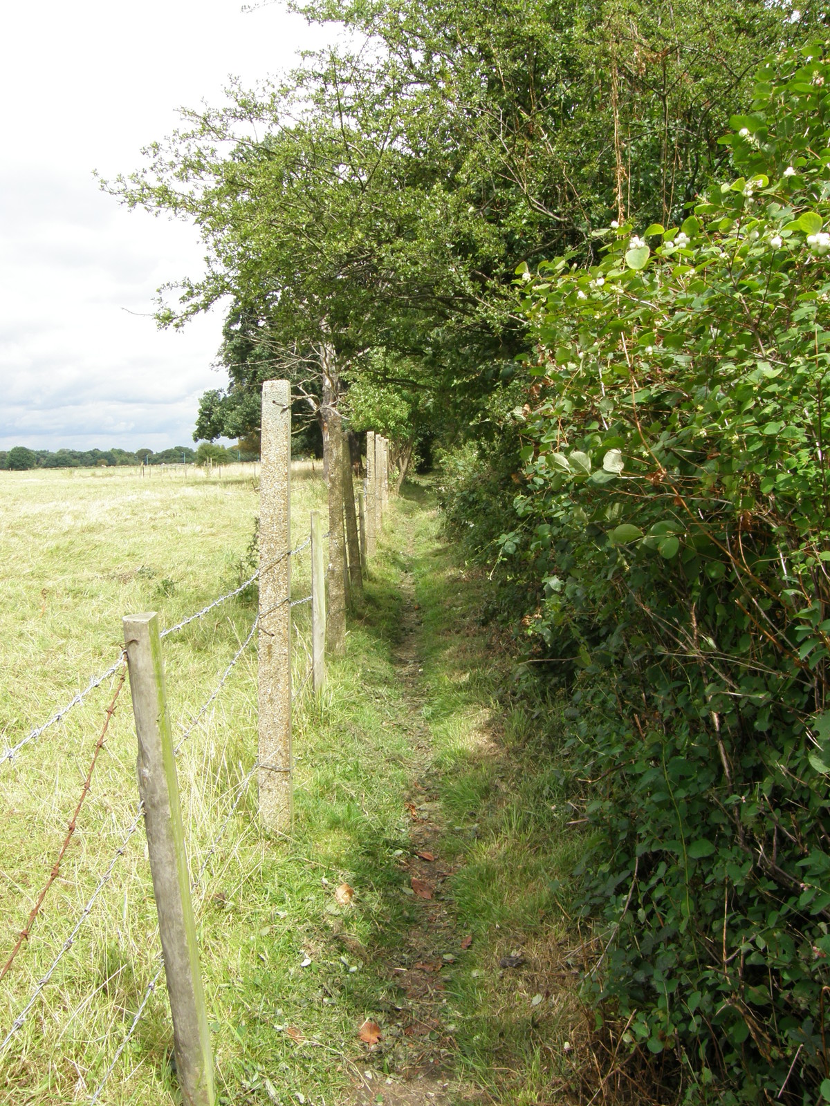 Image from Hatton Cross to Boston Manor