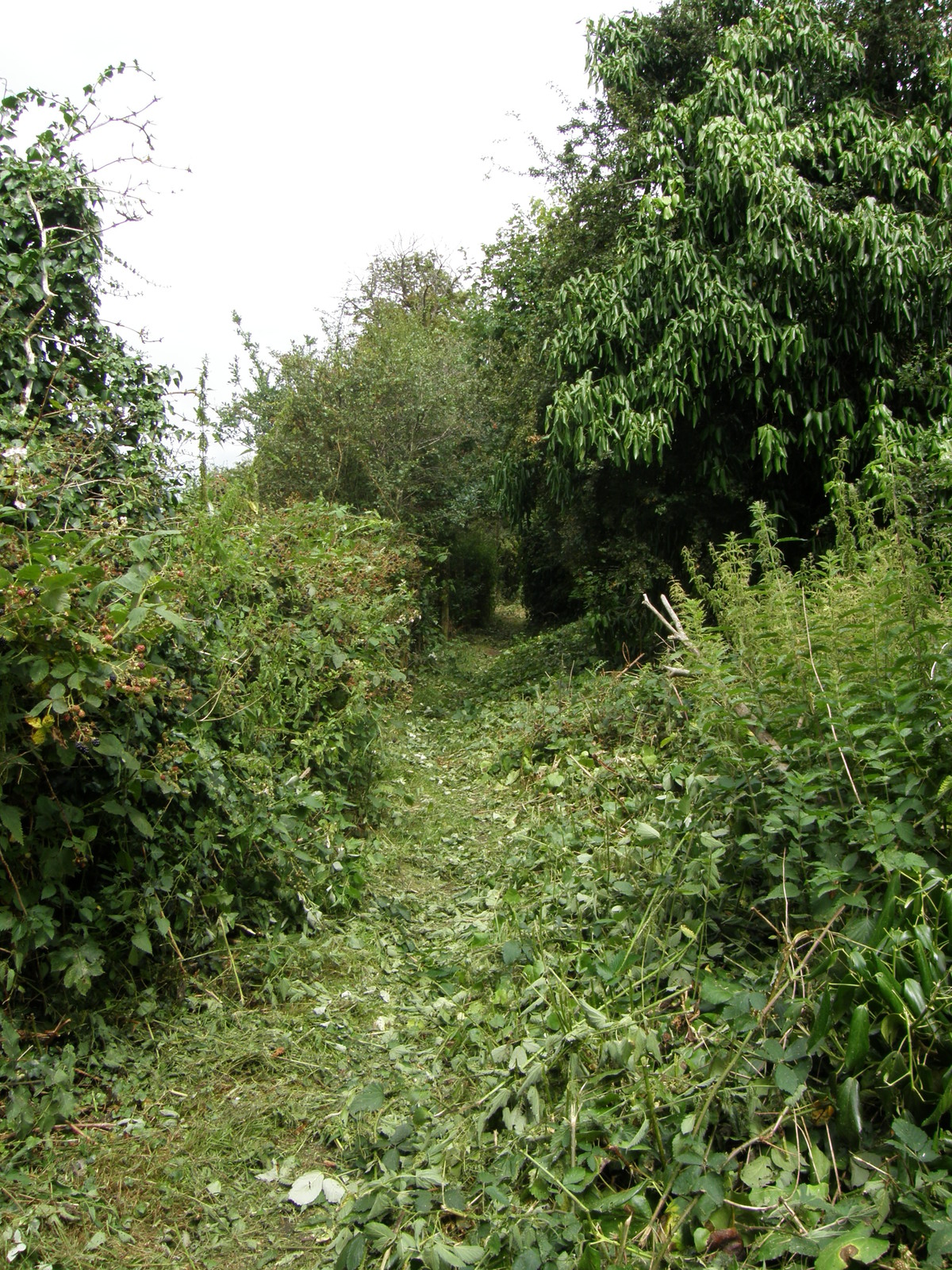 Image from Hatton Cross to Boston Manor