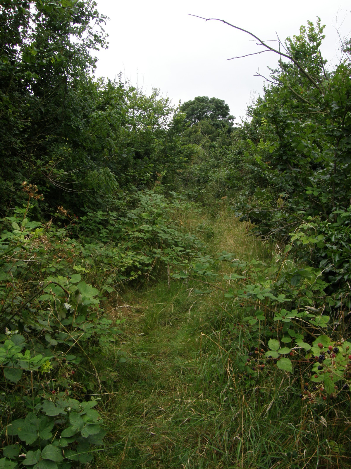 Image from Hatton Cross to Boston Manor