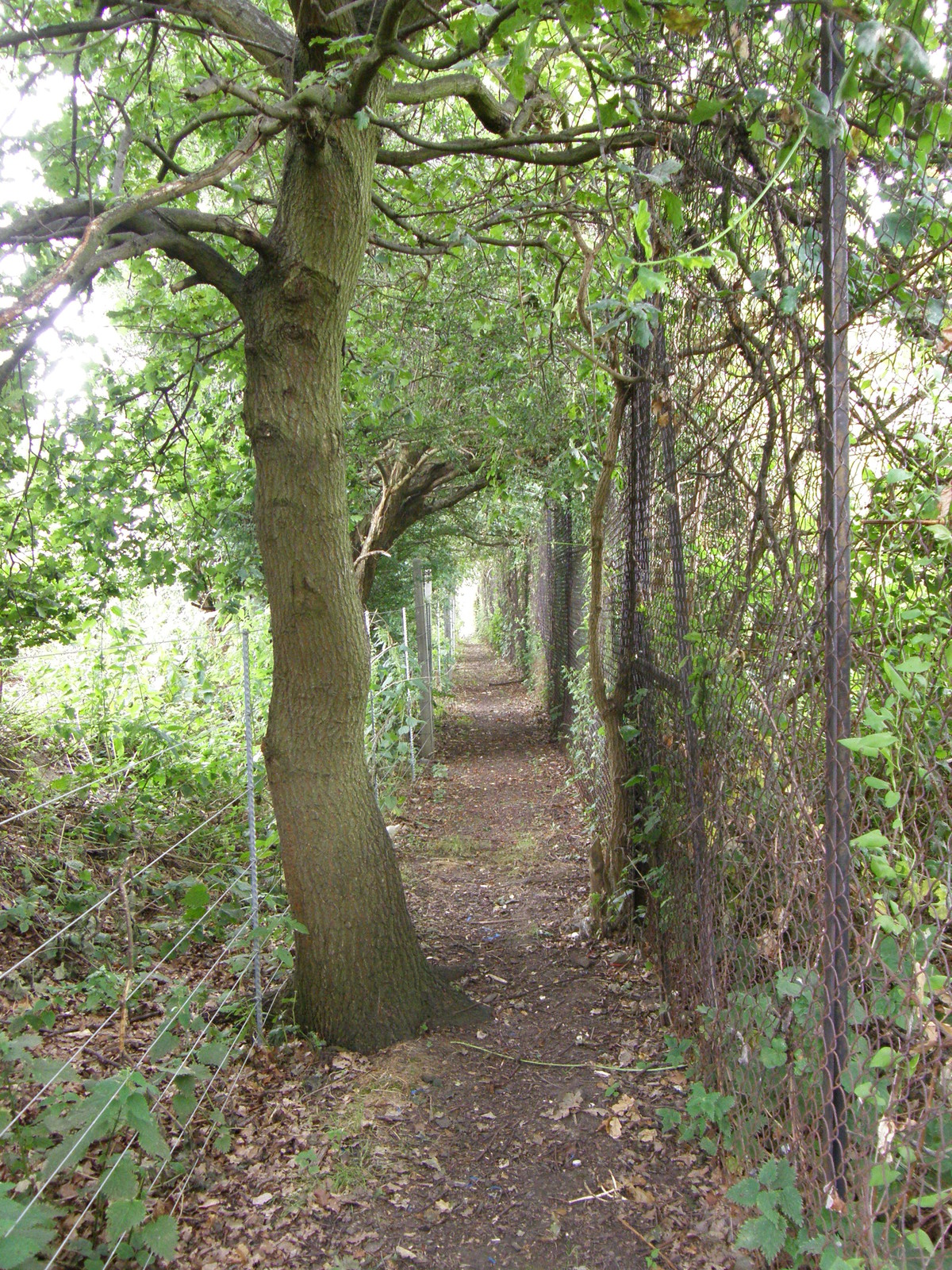 Image from Hatton Cross to Boston Manor