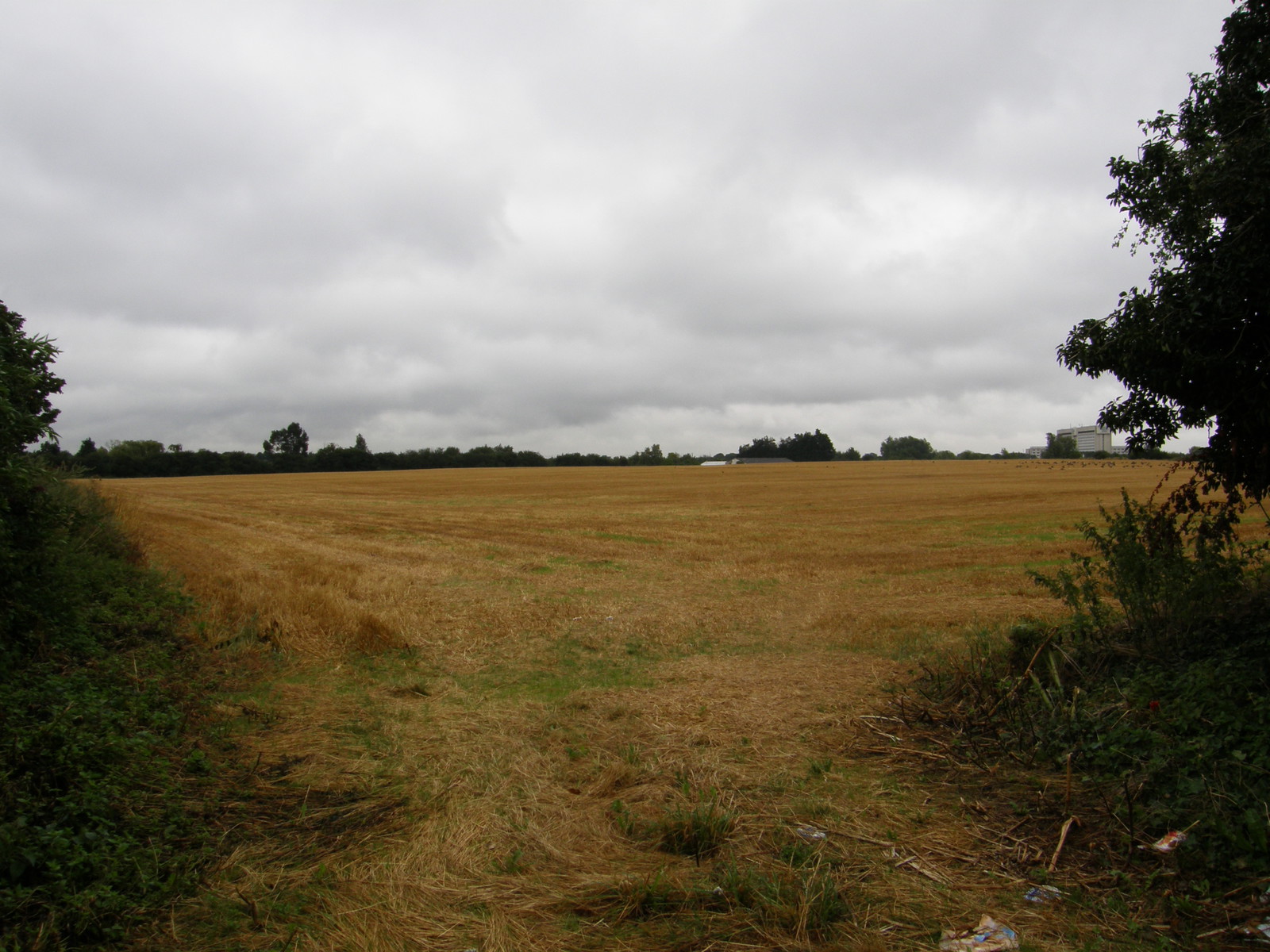A field north of Harmondsworth Lane