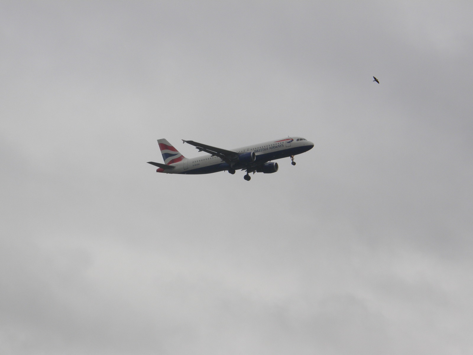 Image from Heathrow Airport