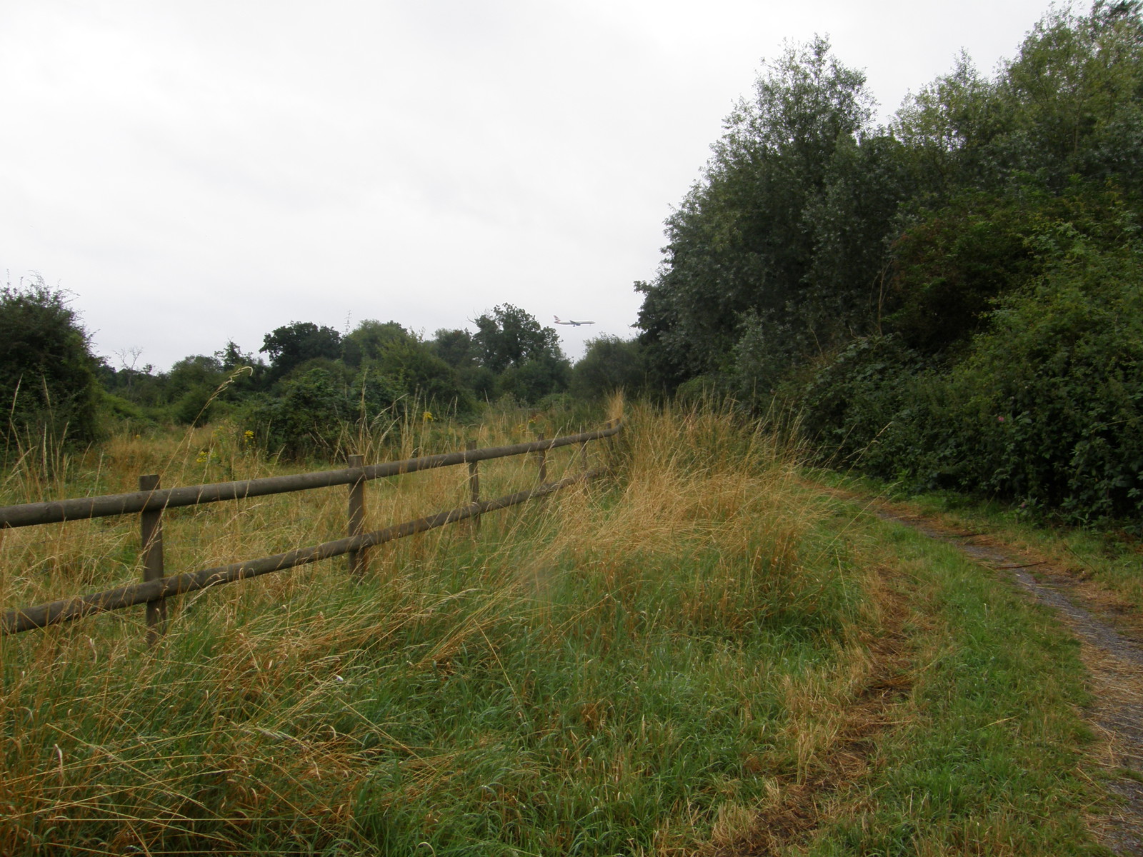 Walking along the River Crane