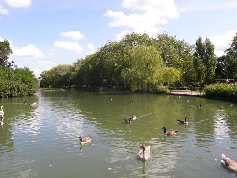 The boating lake in Finsbury Park