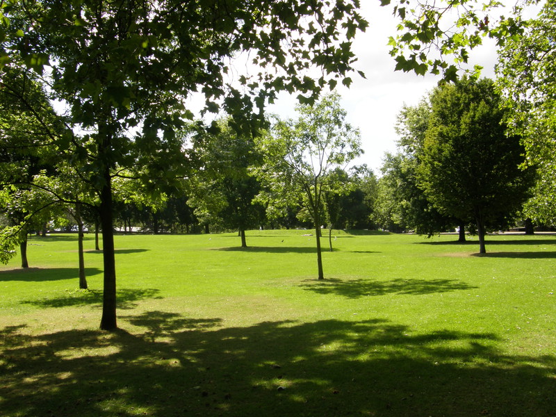 Leafy Finsbury Park
