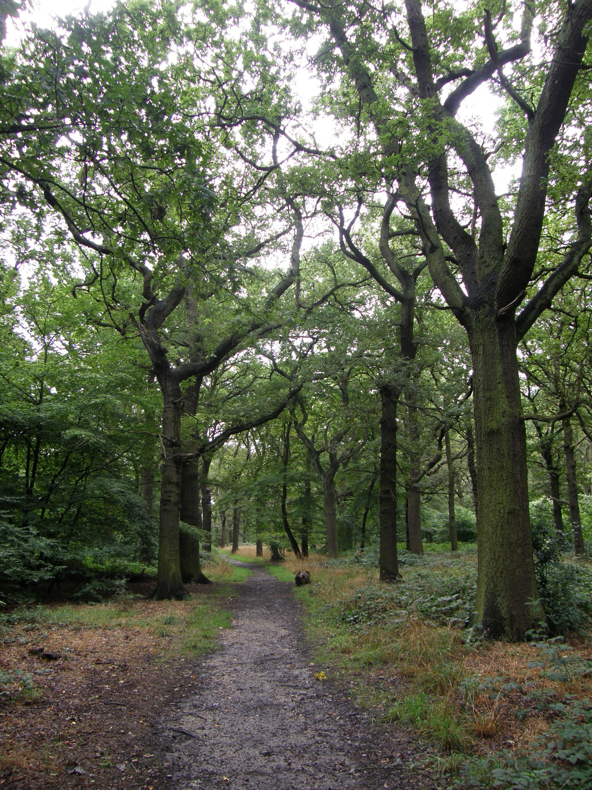 Image from Uxbridge to Acton Town