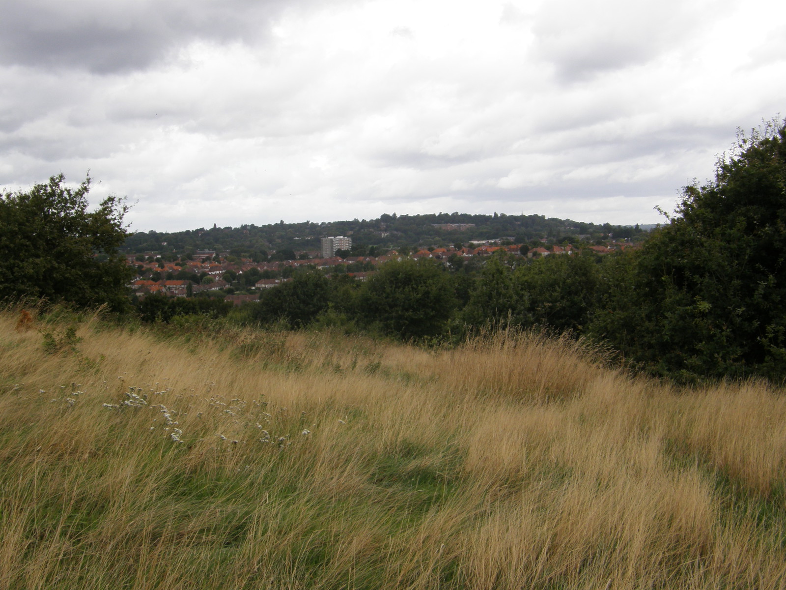 Image from Uxbridge to Acton Town
