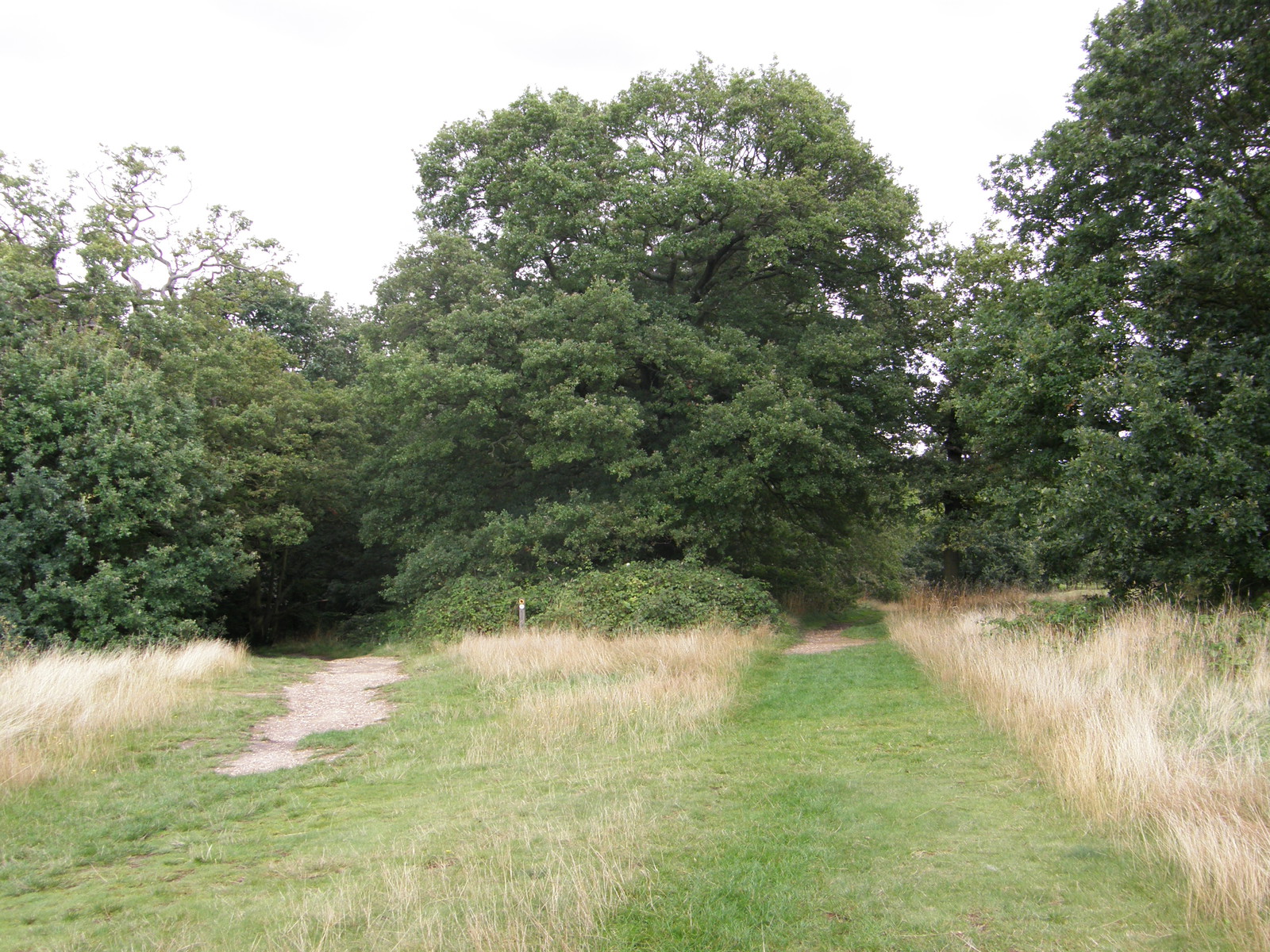Image from Uxbridge to Acton Town