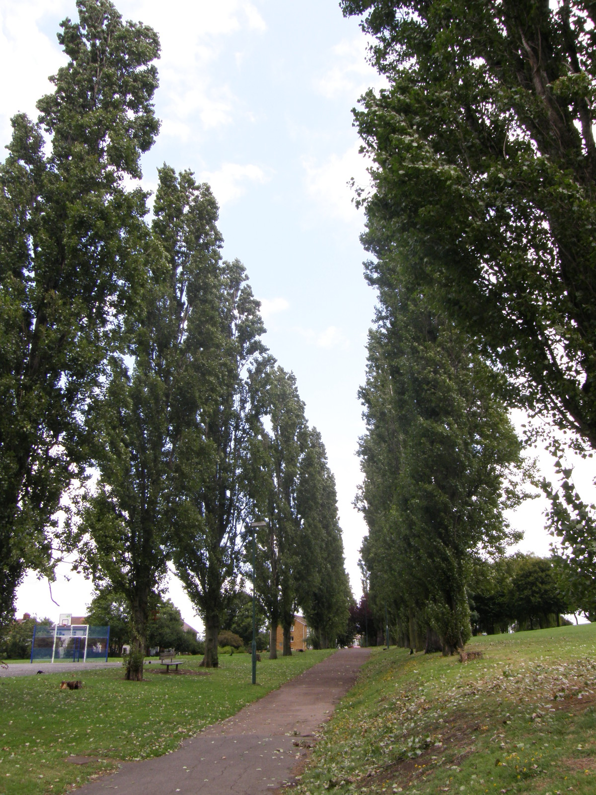 Image from Uxbridge to Acton Town