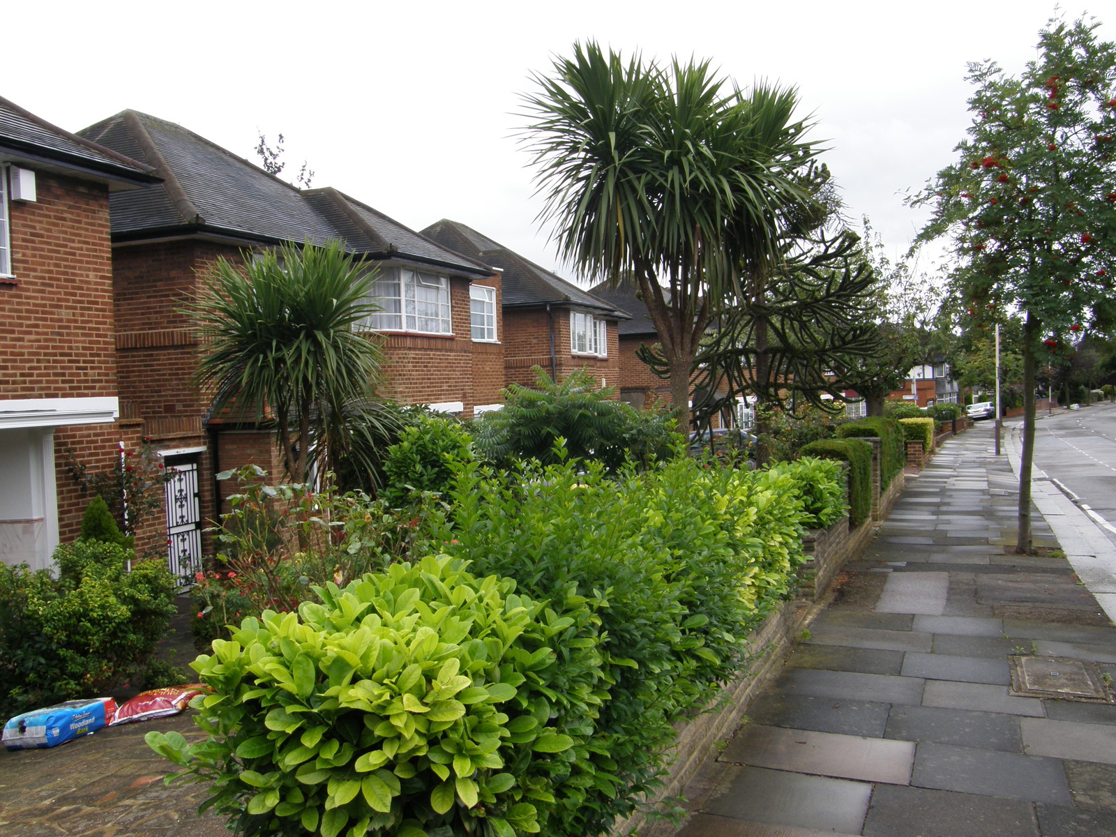 Image from Uxbridge to Acton Town