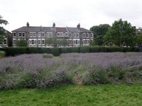 Image from Brixton to King's Cross St Pancras